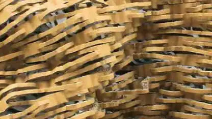 Layered, textured, golden-brown structure.